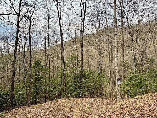 1.89 Acres of Land for Sale in Hiawassee, Georgia