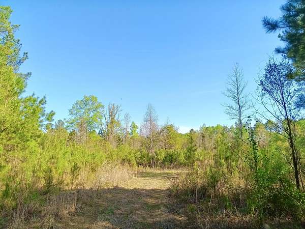16.7 Acres of Recreational & Residential Land for Sale in Timmonsville, South Carolina