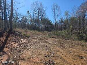 4.5 Acres of Mixed-Use Land for Sale in Reagan, Tennessee