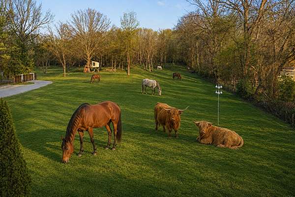 5.19 Acres of Land with Home for Sale in Nashville, Tennessee