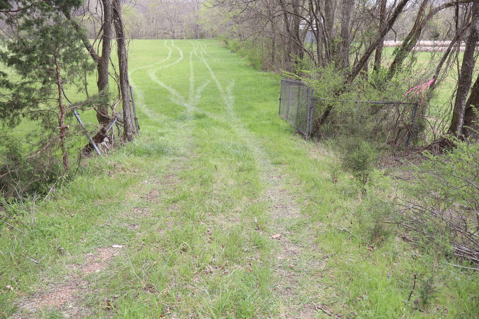 17.5 Acres of Recreational & Residential Land for Sale in Elmwood, Tennessee