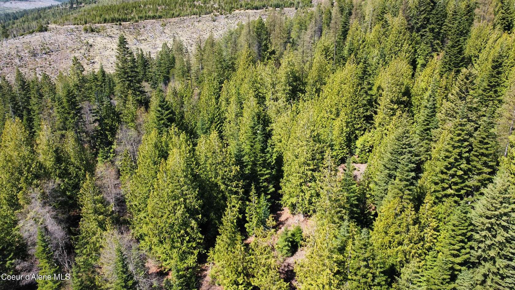 10 Acres of Land for Sale in St. Maries, Idaho