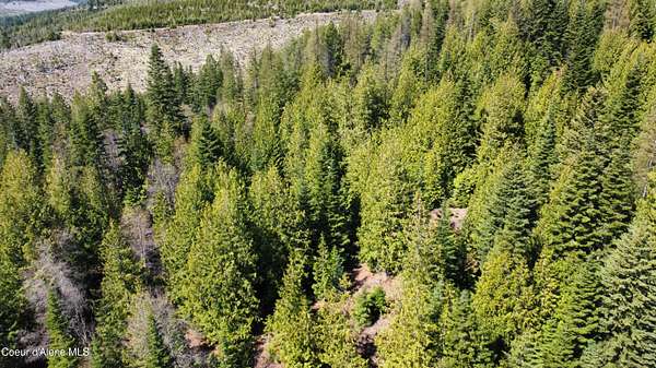10 Acres of Land for Sale in St. Maries, Idaho