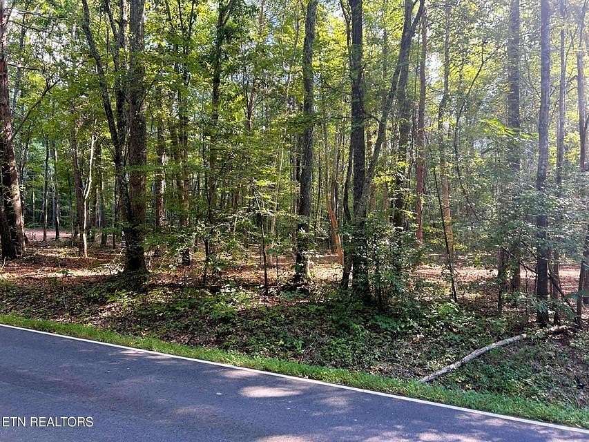 9.2 Acres of Residential Land for Sale in Ten Mile, Tennessee