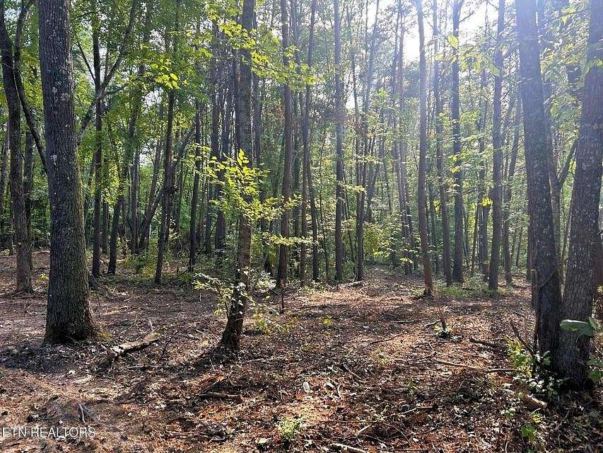 9.2 Acres of Land for Sale in Ten Mile, Tennessee