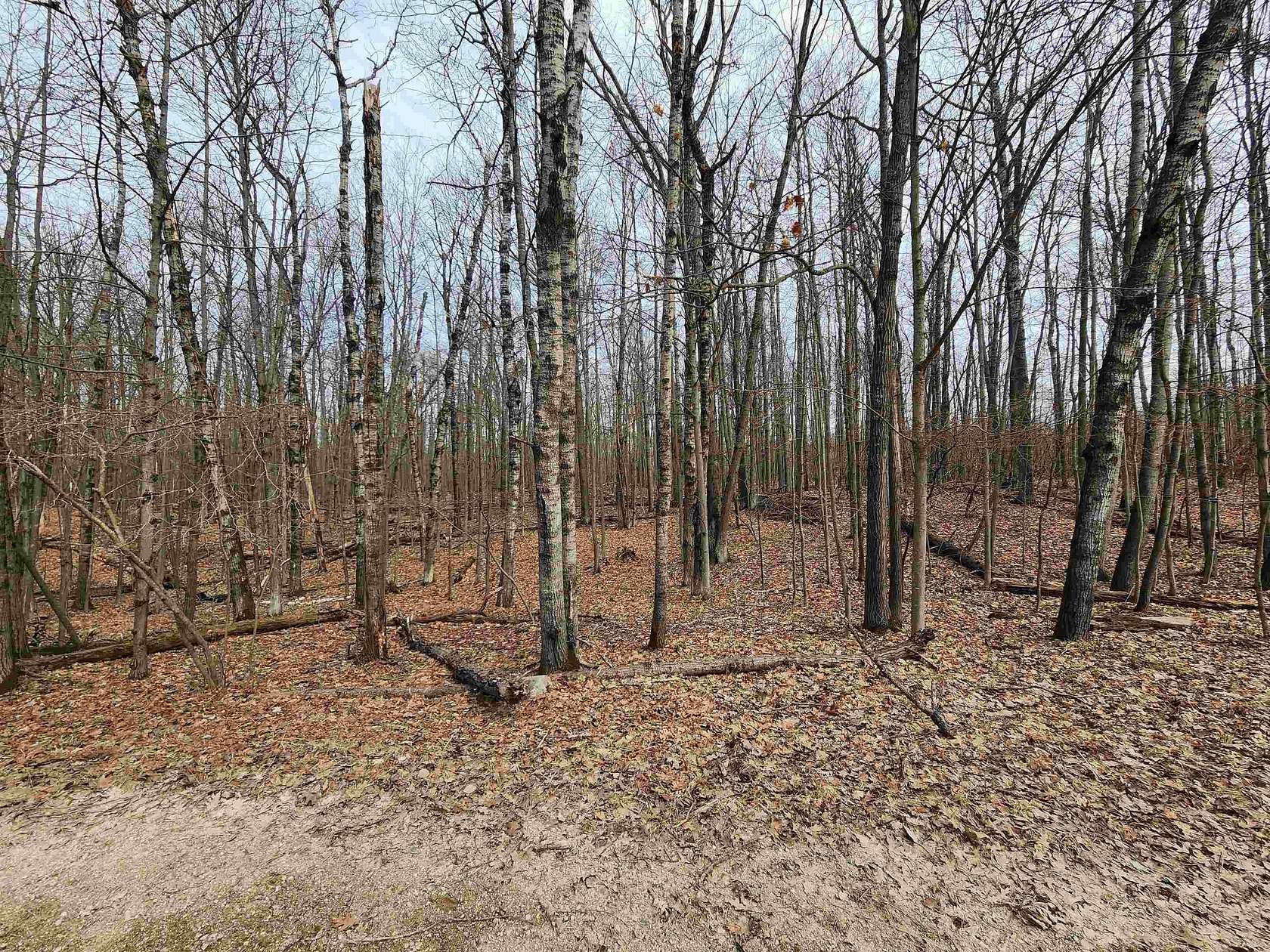 0.77 Acres of Residential Land for Sale in Farwell, Michigan