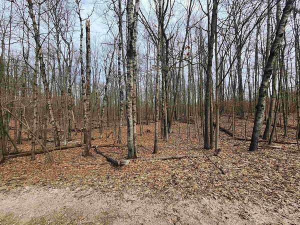 0.77 Acres of Residential Land for Sale in Farwell, Michigan