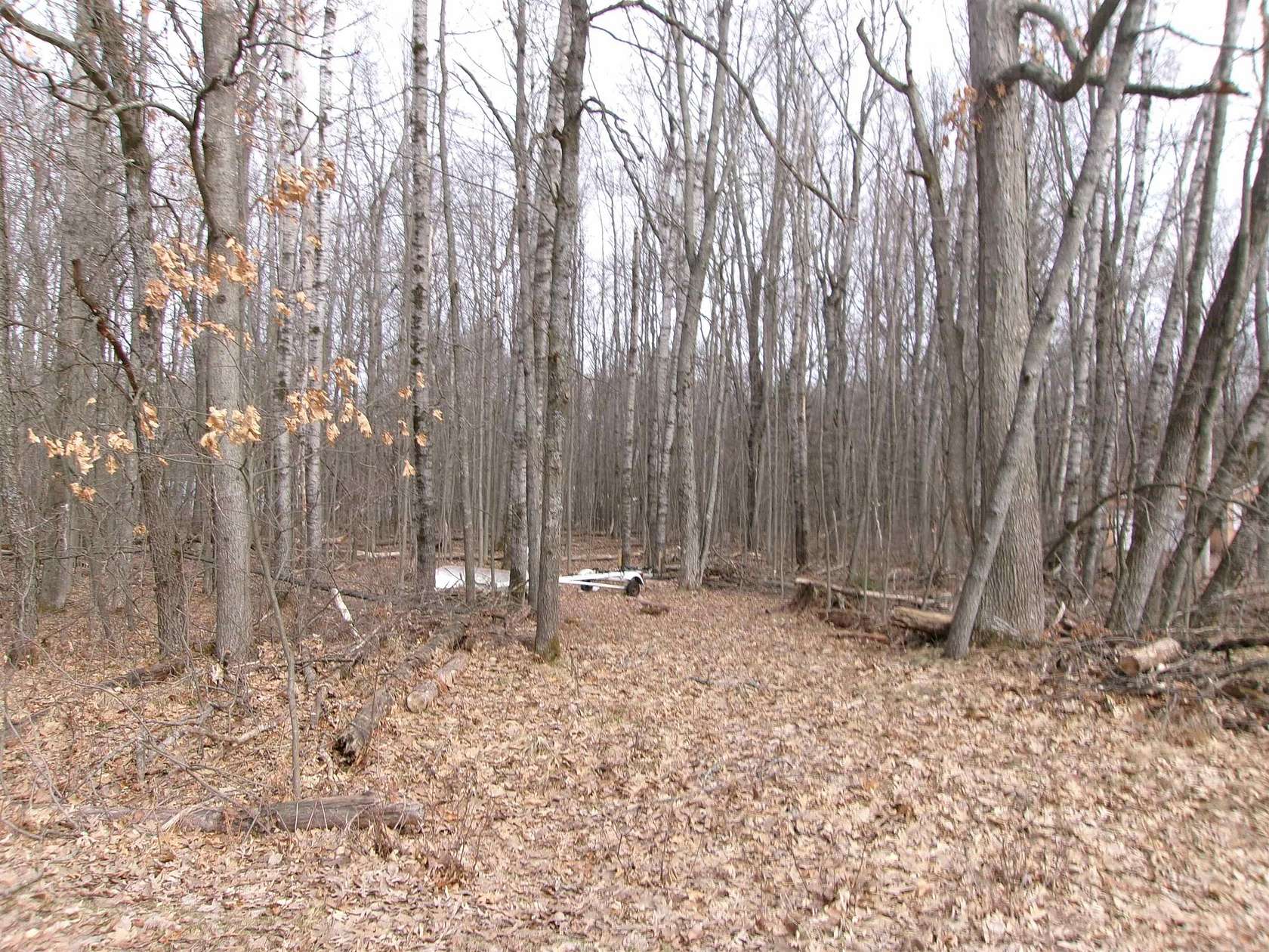 0.5 Acres of Residential Land for Sale in Lake, Michigan