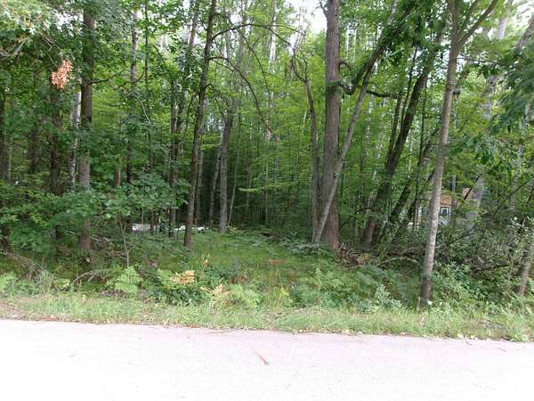 0.5 Acres of Residential Land for Sale in Lake, Michigan