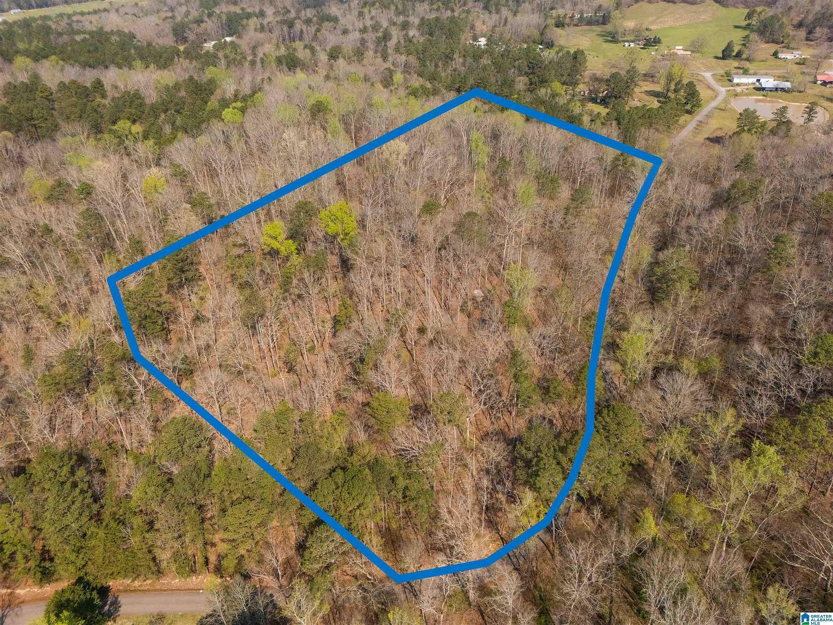 12 Acres of Land for Sale in Piedmont, Alabama