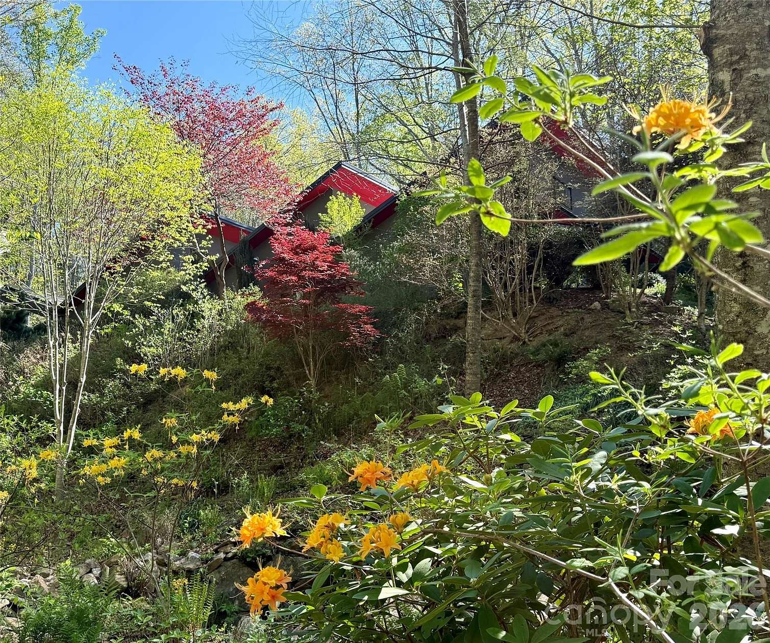 2.77 Acres of Land with Home for Sale in Asheville, North Carolina