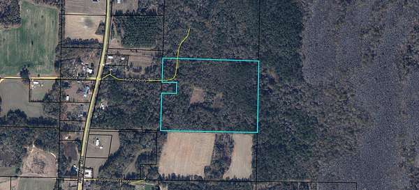 29 Acres of Land for Sale in Westville, Florida