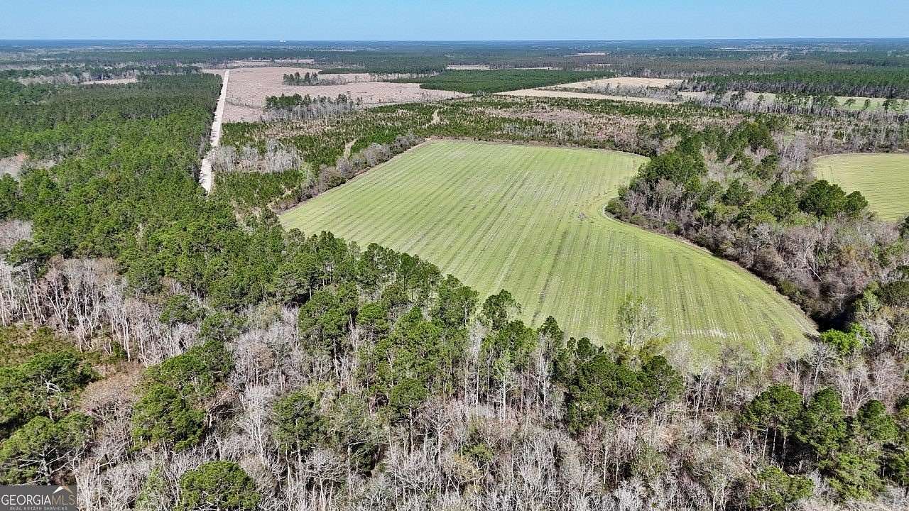 92 Acres of Recreational & Residential Land for Sale in Odum, Georgia