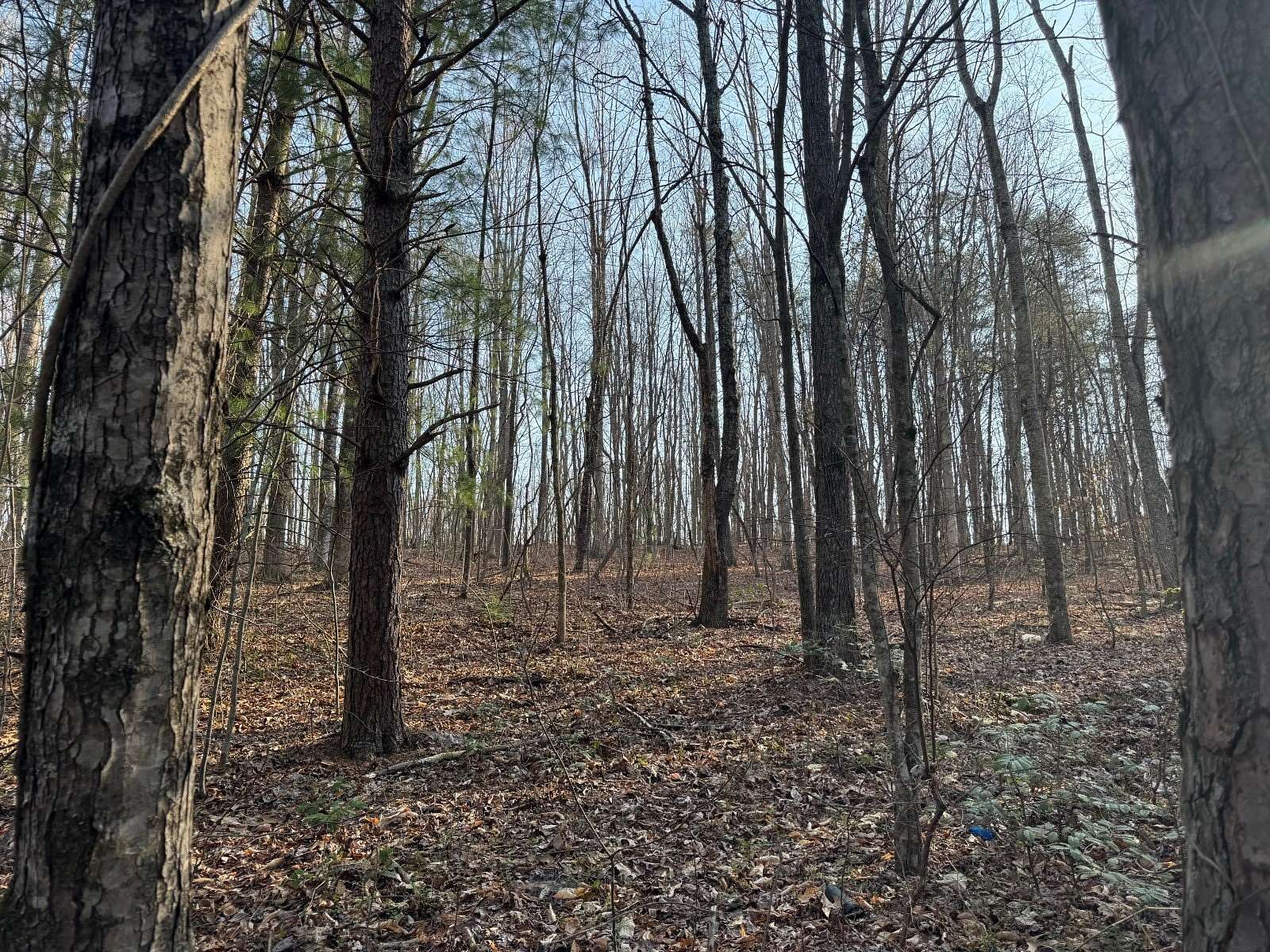 1.77 Acres of Residential Land for Auction in Jamestown, Tennessee