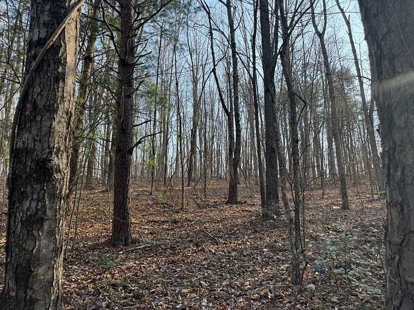 1.77 Acres of Residential Land for Auction in Jamestown, Tennessee