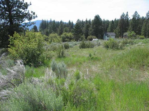 1 Acre of Residential Land for Sale in Chiloquin, Oregon