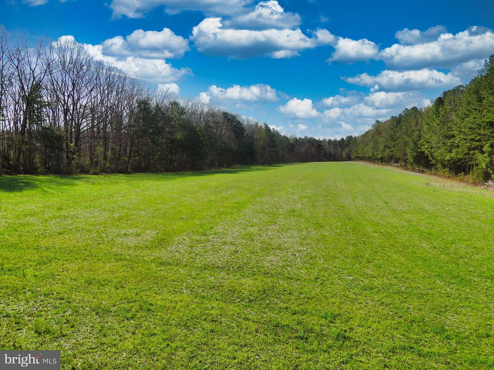 21.6 Acres of Land for Sale in Beaverdam, Virginia