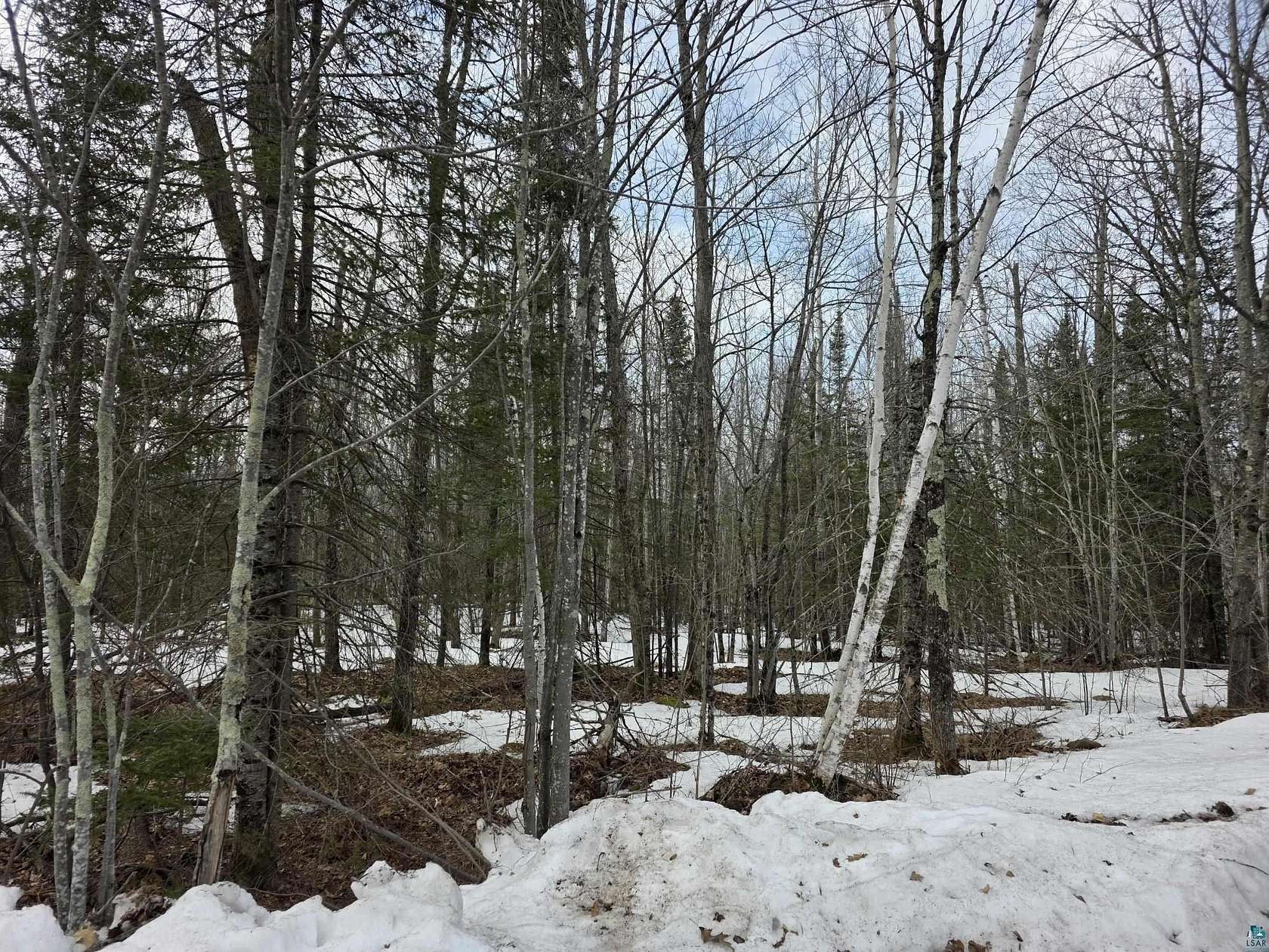 11.1 Acres of Land for Sale in Cloquet, Minnesota