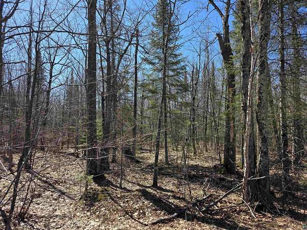 11.1 Acres of Land for Sale in Cloquet, Minnesota