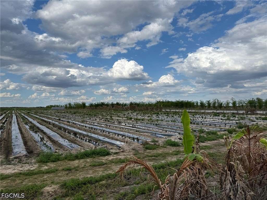 10 Acres of Agricultural Land for Sale in LaBelle, Florida