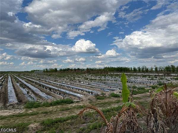 10 Acres of Agricultural Land for Sale in LaBelle, Florida