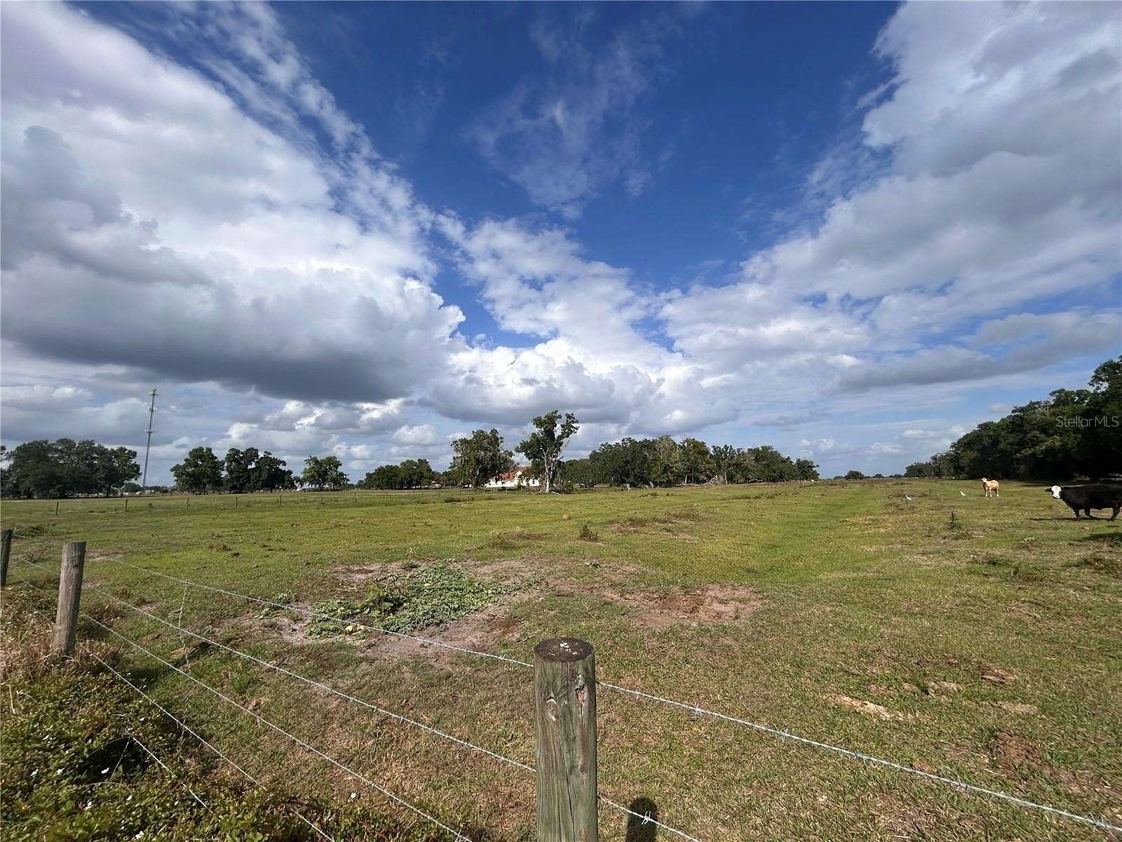 9 Acres of Residential Land for Sale in Arcadia, Florida