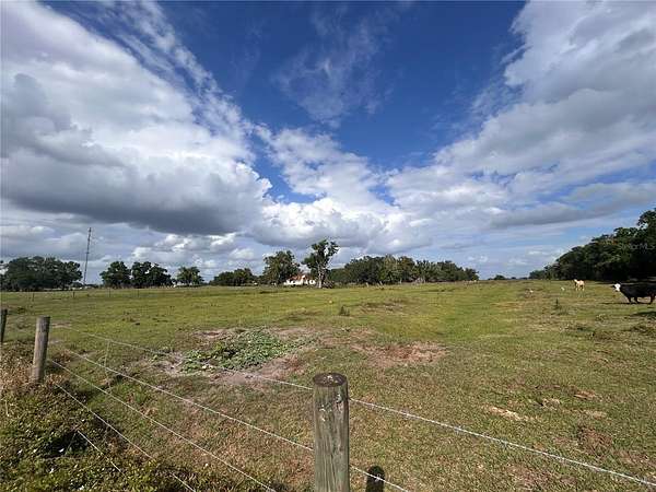 9 Acres of Residential Land for Sale in Arcadia, Florida