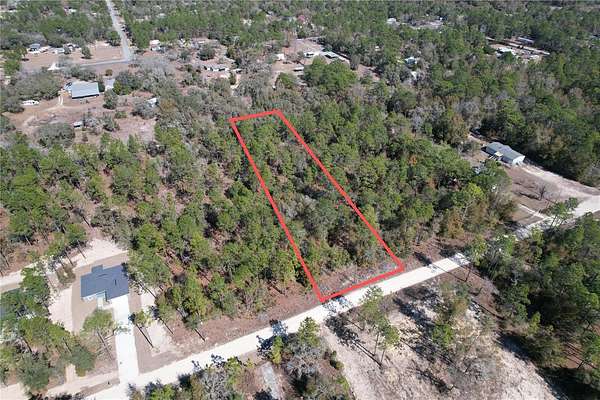 1 Acre of Land for Sale in Dunnellon, Florida