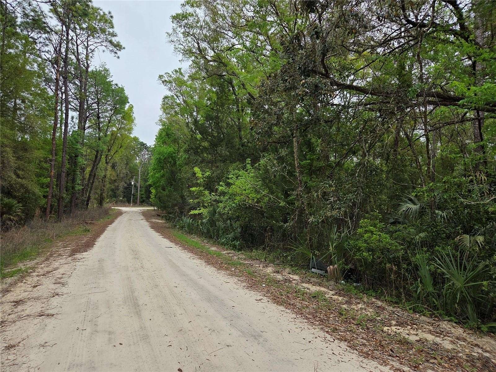 0.55 Acres of Land for Sale in Williston, Florida