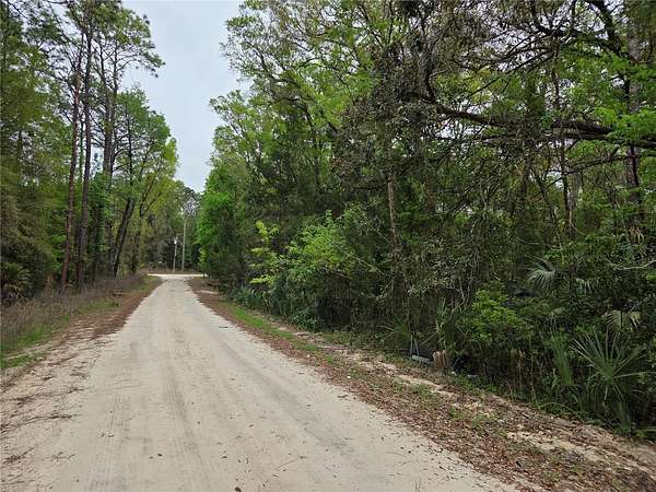 0.55 Acres of Land for Sale in Williston, Florida