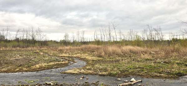 134 Acres of Recreational & Residential Land for Sale in Burke, New York