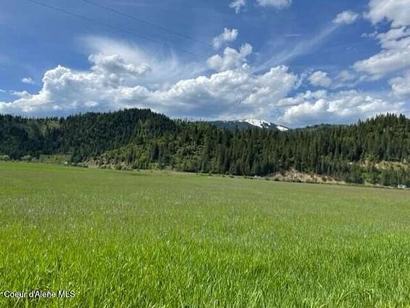 222 Acres of Land for Sale in St. Maries, Idaho