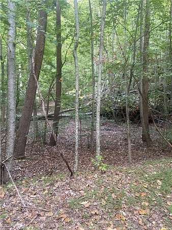 2 Acres of Residential Land for Sale in Ranger, Georgia