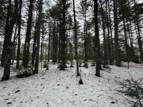 5.17 Acres of Residential Land for Sale in Mercer, Wisconsin