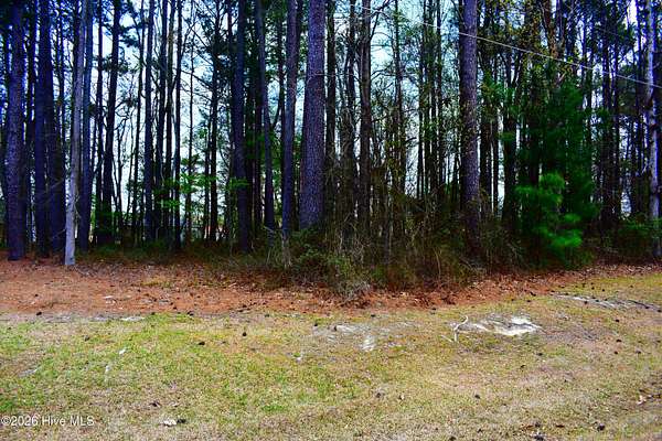 0.34 Acres of Residential Land for Sale in Saratoga, North Carolina