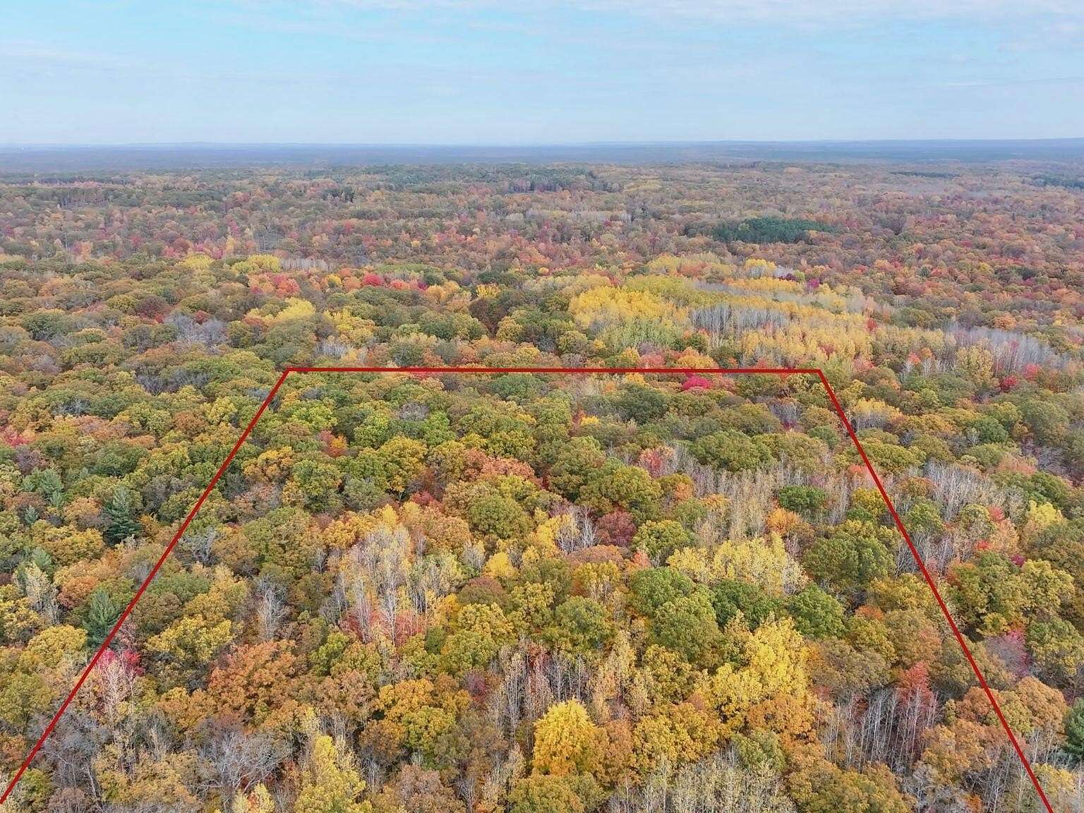 10 Acres of Recreational & Residential Land for Sale in Bitely, Michigan
