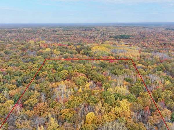 10 Acres of Recreational & Residential Land for Sale in Bitely, Michigan