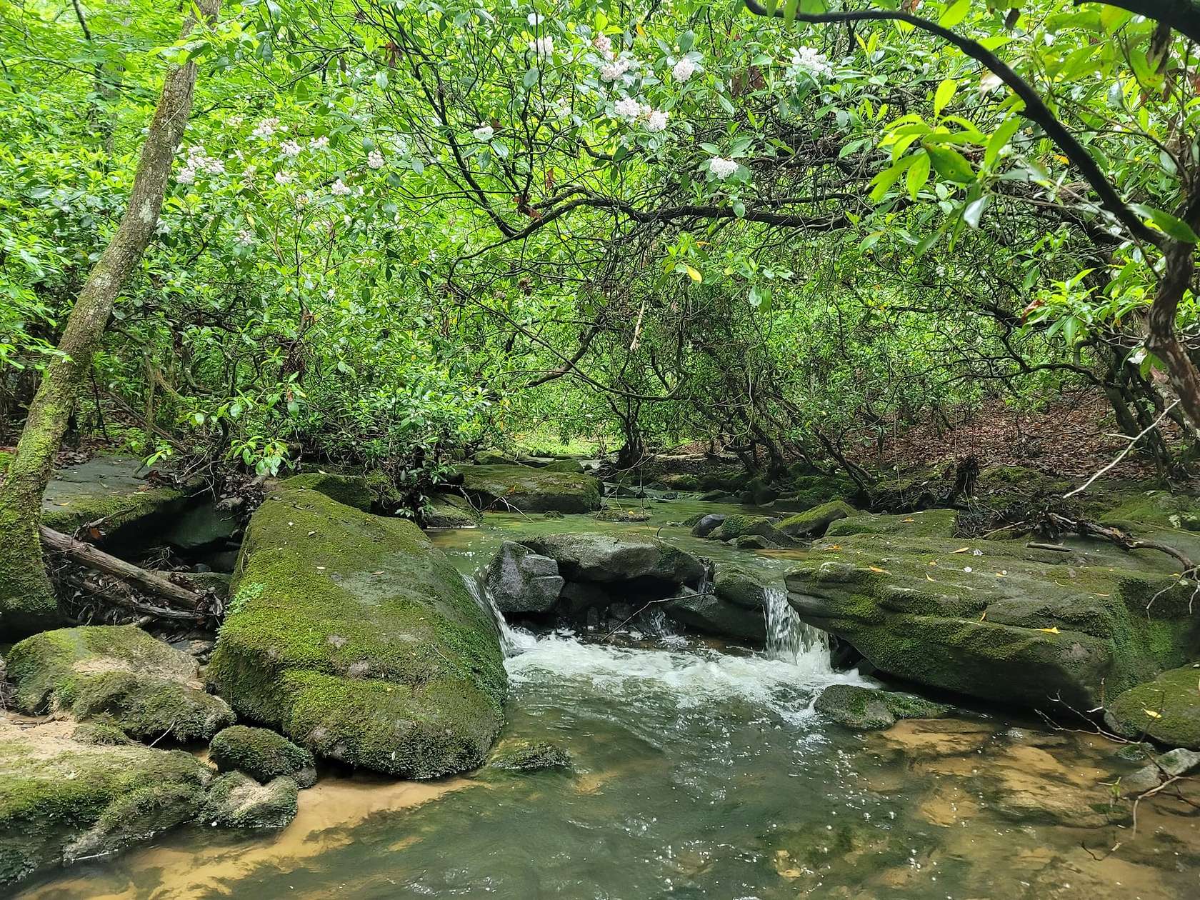 5 Acres of Residential Land for Sale in Clarkrange, Tennessee