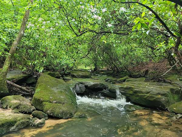 5 Acres of Residential Land for Sale in Clarkrange, Tennessee