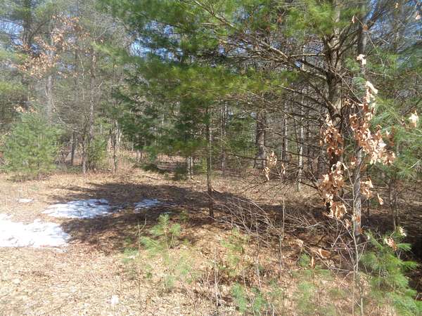 2 Acres of Land for Sale in Houghton Lake, Michigan