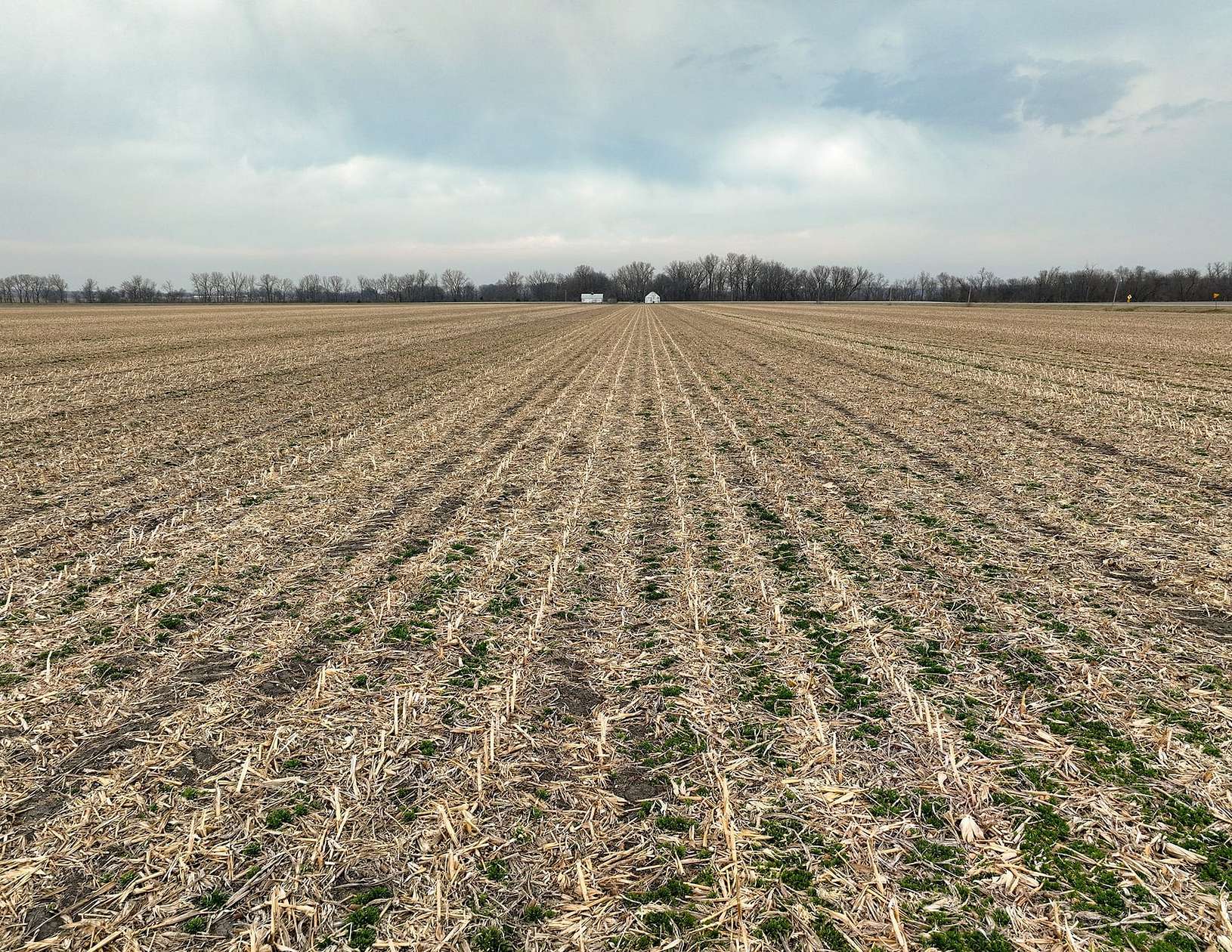 74.9 Acres of Land for Sale in Davis City, Iowa