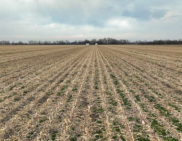 74.9 Acres of Land for Sale in Davis City, Iowa