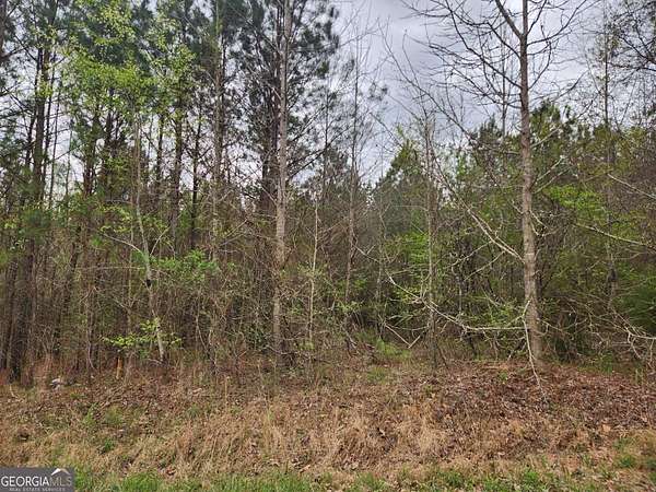 10 Acres of Land for Sale in Temple, Georgia