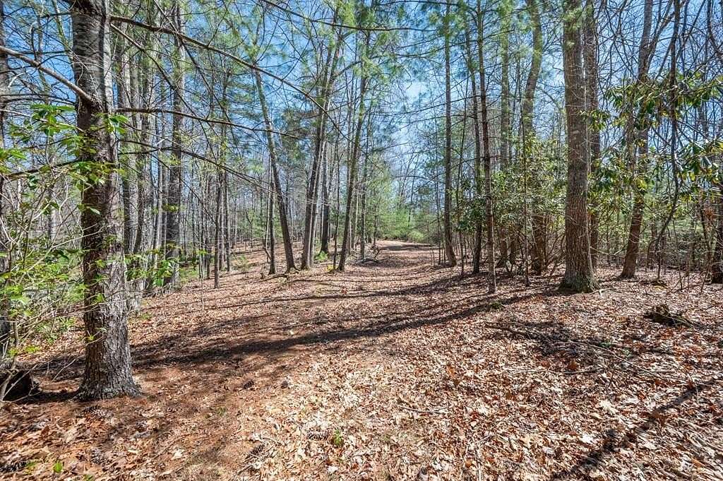 5.68 Acres of Residential Land for Sale in Independence, Virginia