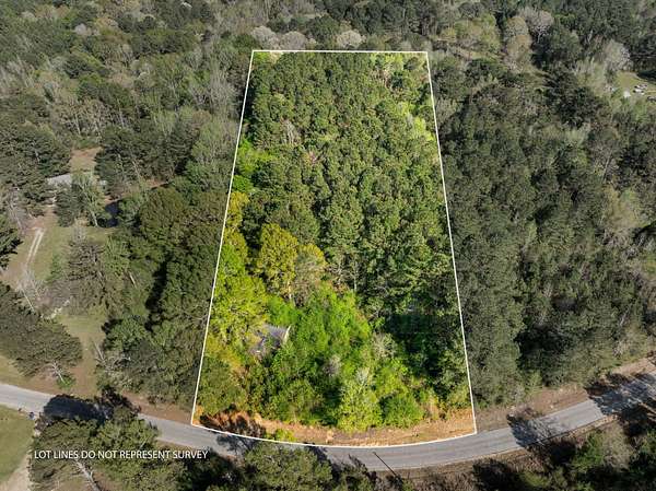 3 Acres of Residential Land for Sale in Pinola, Mississippi