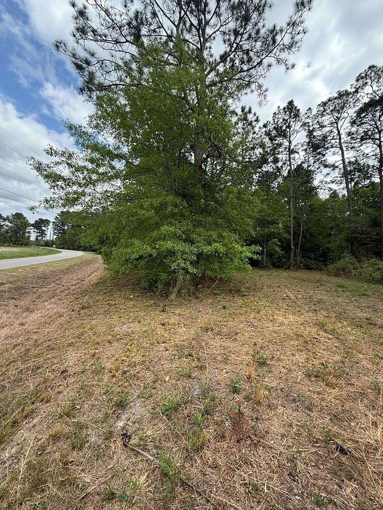 2 Acres of Residential Land for Sale in Moultrie, Georgia