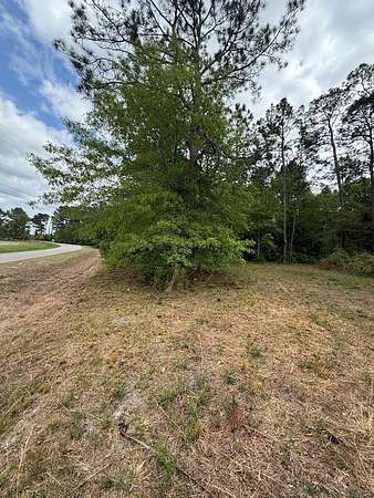 2 Acres of Residential Land for Sale in Moultrie, Georgia