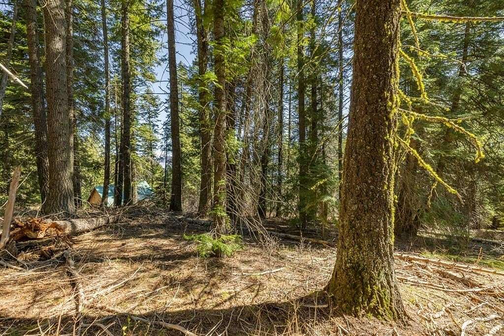 1.1 Acres of Residential Land for Sale in Donnelly, Idaho