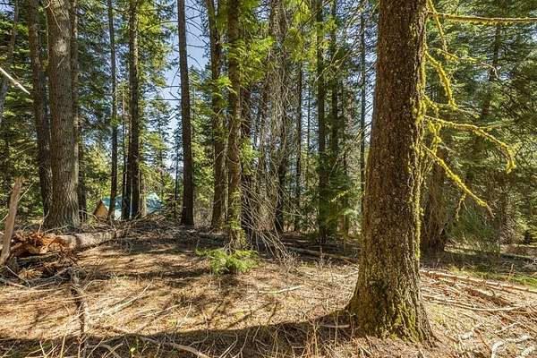 1.1 Acres of Residential Land for Sale in Donnelly, Idaho