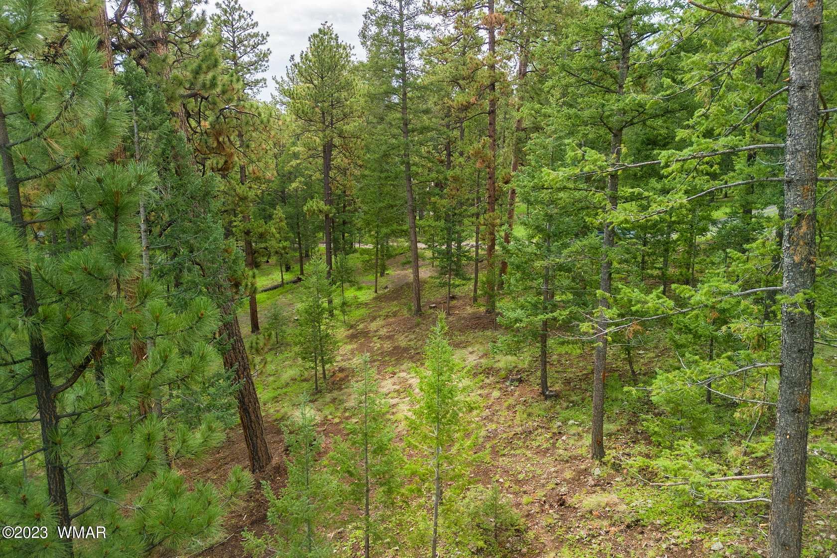1 Acre of Residential Land for Sale in Greer, Arizona